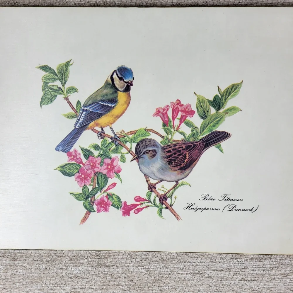 VTG Lady Clare Bird Luncheon Placemats Set 4 Felt Back England Warbler Bunting